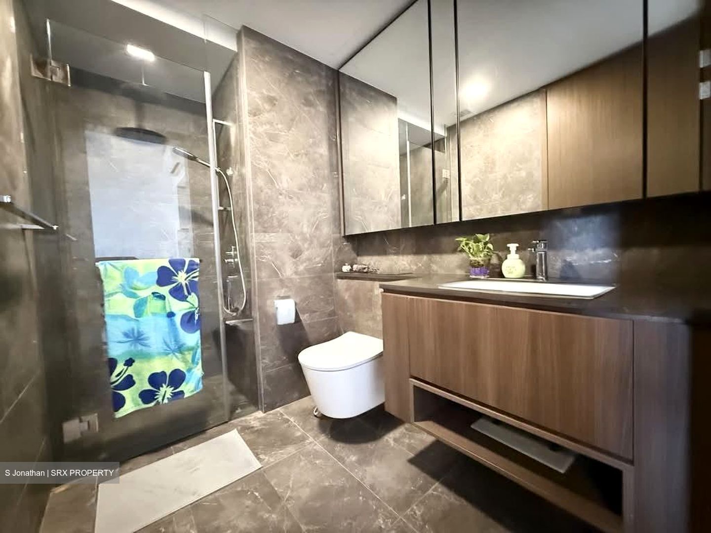 Kopar At Newton (D9), Apartment #545824311